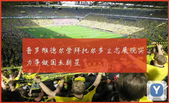 普罗维德尔崇拜托尔多立志展现实力争做国米新星