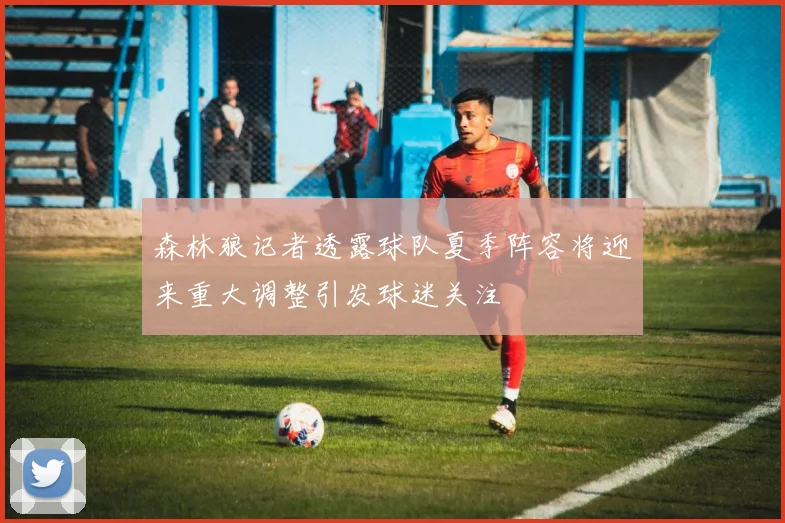 森林狼记者透露球队夏季阵容将迎来重大调整引发球迷关注