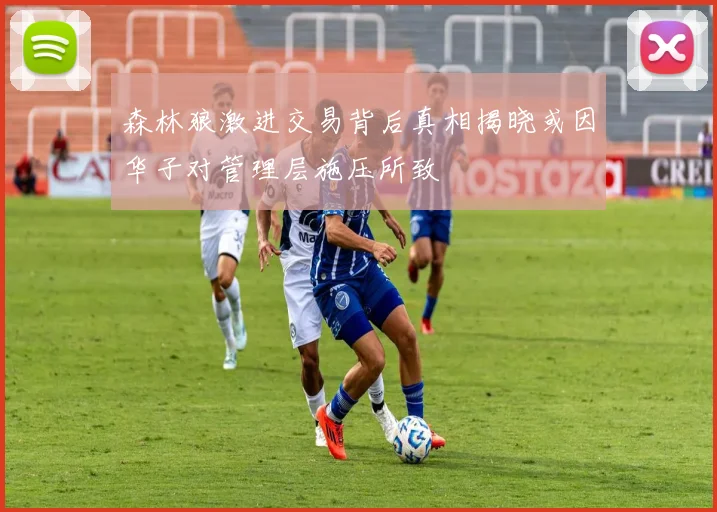 森林狼激进交易背后真相揭晓或因华子对管理层施压所致